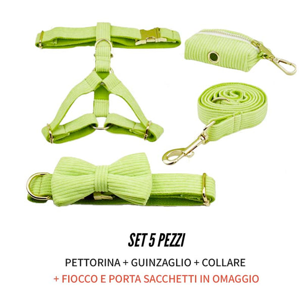 PERSONALIZZABILE - SET PETTORINA PER CANI IN VELLUTO VERDE MELA A COSTE