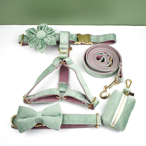 PERSONALIZZABILE - SET PETTORINA PER CANI IN VELLUTO MENTA FONDO ROSA