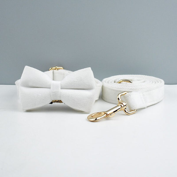PERSONALIZZABILE - SET PETTORINA PER CANI IN VELLUTO BIANCO