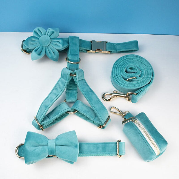 PERSONALIZZABILE - SET PETTORINA PER CANI IN VELLUTO AZZURRO