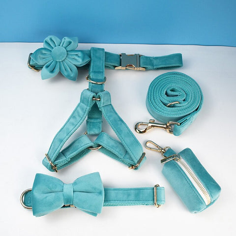 PERSONALIZZABILE - SET PETTORINA PER CANI IN VELLUTO AZZURRO