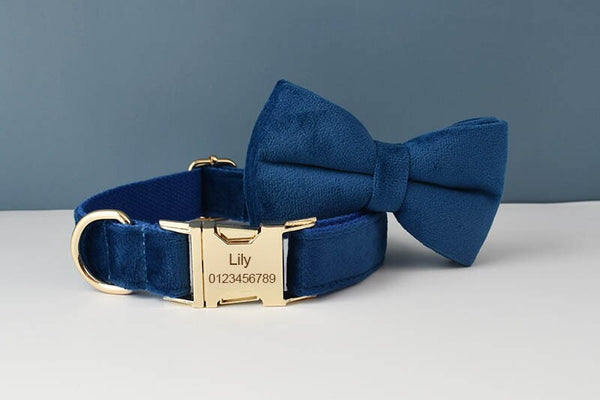PERSONALIZZABILE - SET PETTORINA PER CANI IN VELLUTO BLU