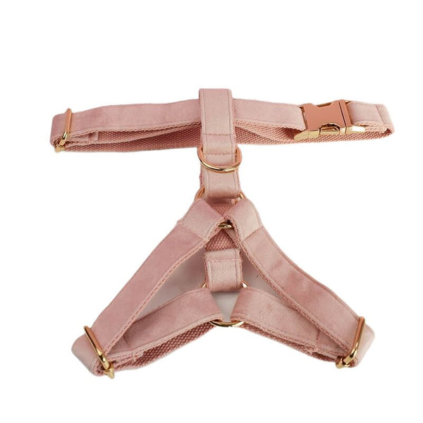 PERSONALIZZABILE - SET PETTORINA PER CANI IN VELLUTO ROSA CIPRIA