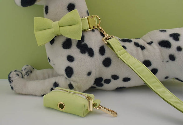 PERSONALIZZABILE - SET COLLARE PER CANI IN VELLUTO PISTACCHIO