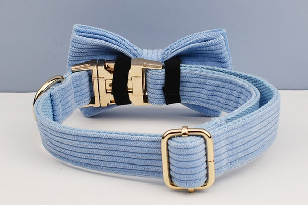 PERSONALIZZABILE - SET PETTORINA PER CANI IN VELLUTO CELESTE A COSTE
