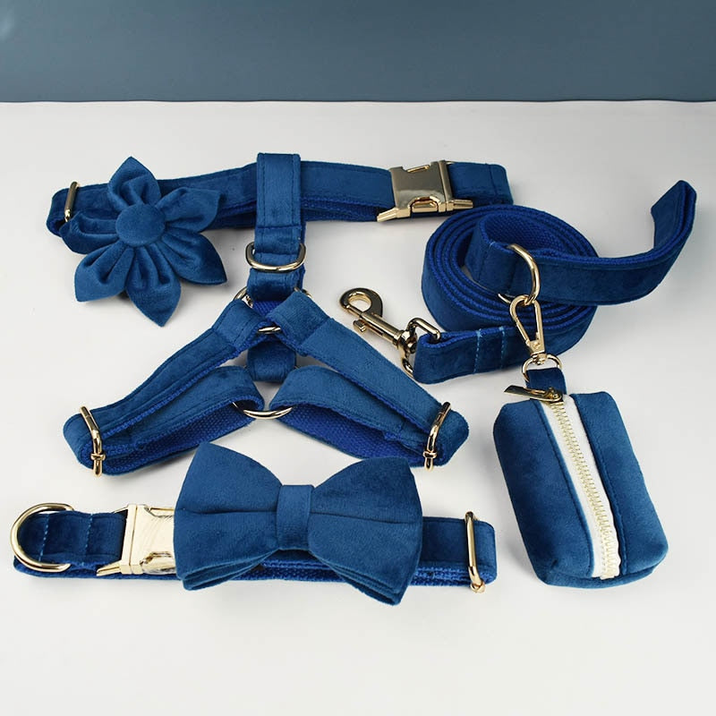 PERSONALIZZABILE - SET PETTORINA PER CANI IN VELLUTO BLU