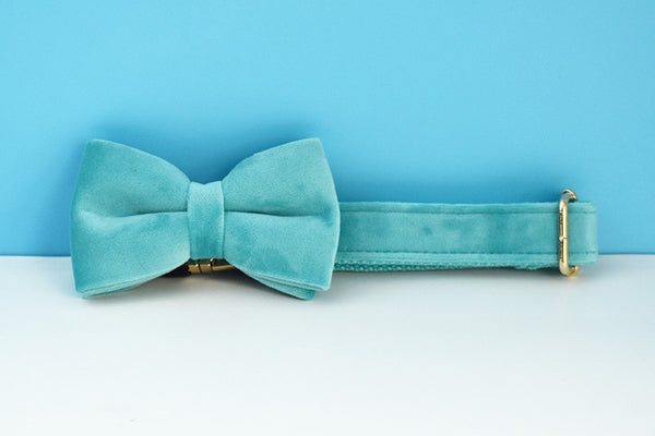 PERSONALIZZABILE - SET PETTORINA PER CANI IN VELLUTO AZZURRO