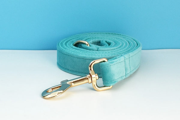 PERSONALIZZABILE - SET PETTORINA PER CANI IN VELLUTO AZZURRO