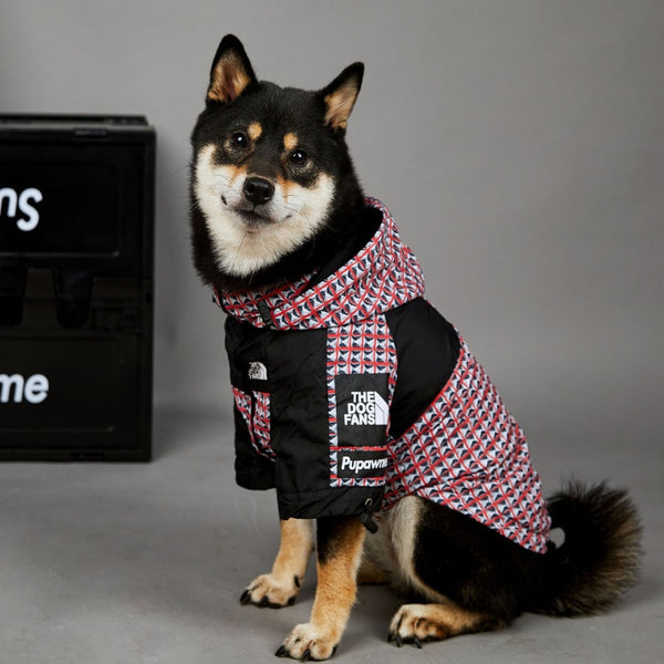 Impermeabile per cani anti pioggia con cappuccio pattern