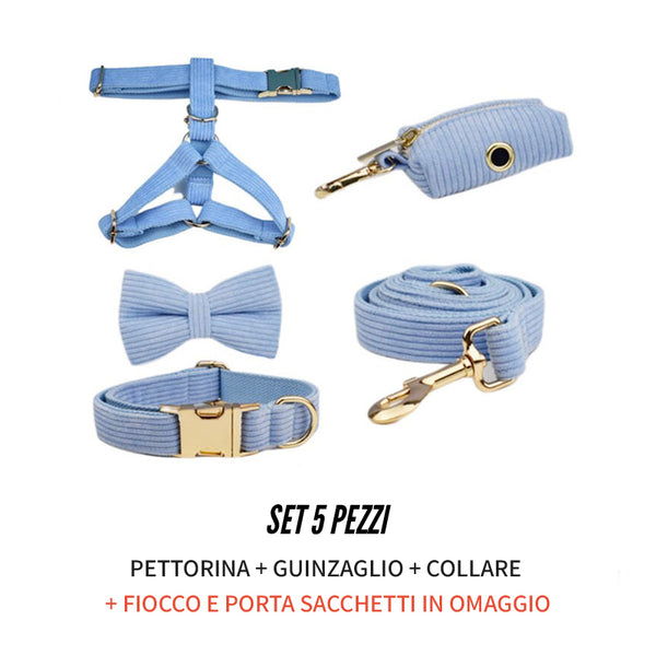 PERSONALIZZABILE - SET PETTORINA PER CANI IN VELLUTO CELESTE A COSTE