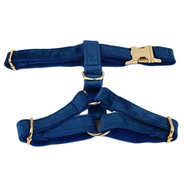 PERSONALIZZABILE - SET PETTORINA PER CANI IN VELLUTO BLU