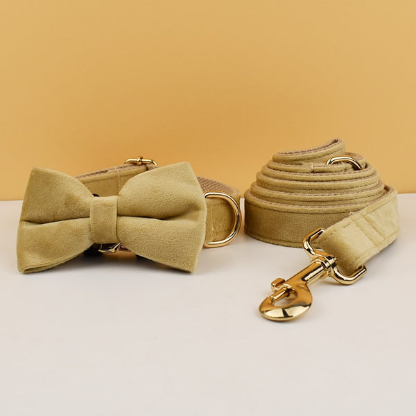 PERSONALIZZABILE - SET PETTORINA PER CANI IN VELLUTO BEIGE