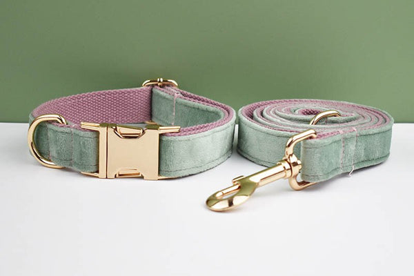 PERSONALIZZABILE - SET PETTORINA PER CANI IN VELLUTO MENTA FONDO ROSA