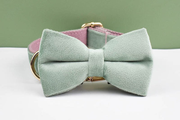 PERSONALIZZABILE - SET PETTORINA PER CANI IN VELLUTO MENTA FONDO ROSA