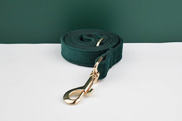 PERSONALIZZABILE - SET PETTORINA PER CANI IN VELLUTO VERDE SCURO