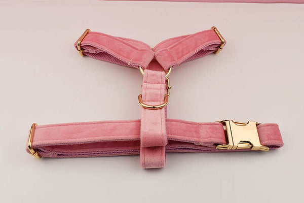 PERSONALIZZABILE - SET PETTORINA PER CANI IN VELLUTO ROSA