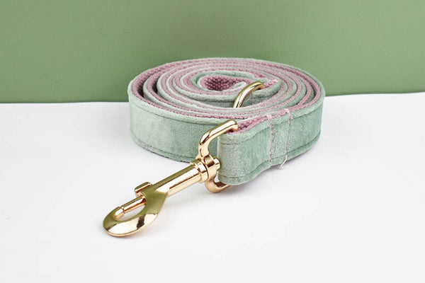 PERSONALIZZABILE - SET PETTORINA PER CANI IN VELLUTO MENTA FONDO ROSA