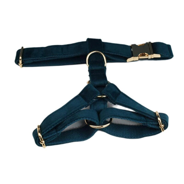 PERSONALIZZABILE - SET PETTORINA PER CANI IN VELLUTO VERDE PETROLIO