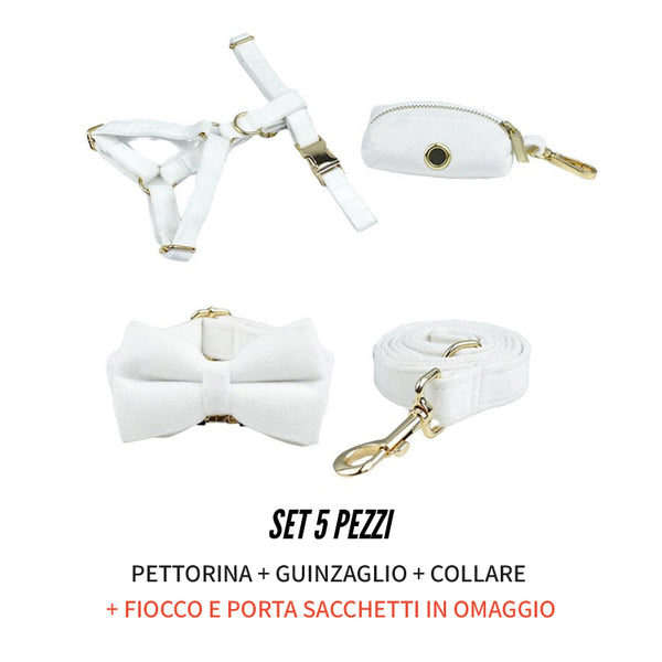 PERSONALIZZABILE - SET PETTORINA PER CANI IN VELLUTO BIANCO