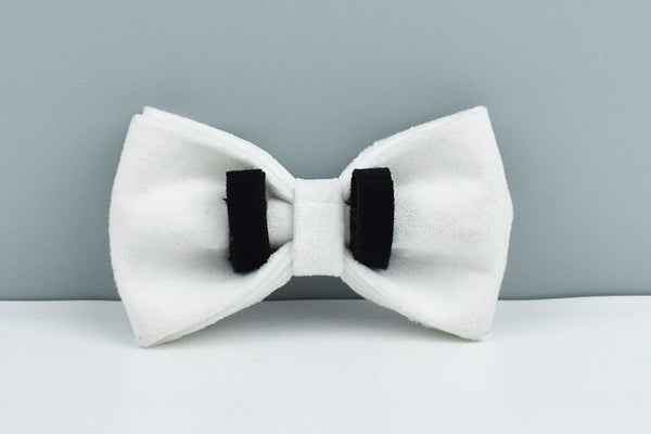 PERSONALIZZABILE - SET PETTORINA PER CANI IN VELLUTO BIANCO