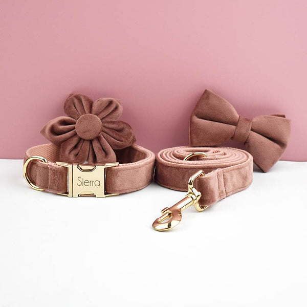 PERSONALIZZABILE - SET PETTORINA PER CANI IN VELLUTO NOCCIOLA