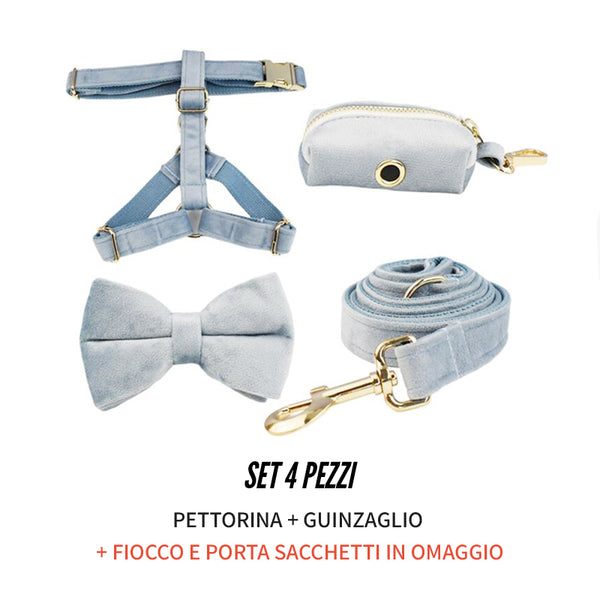 PERSONALIZZABILE - SET PETTORINA PER CANI IN VELLUTO CARTA DA ZUCCHERO