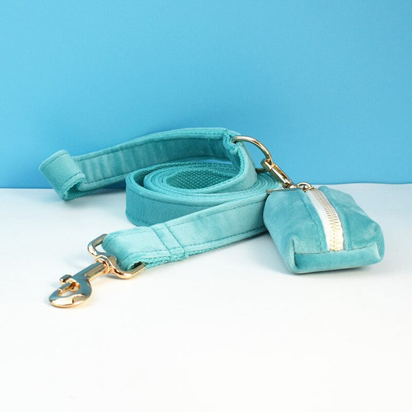PERSONALIZZABILE - SET PETTORINA PER CANI IN VELLUTO AZZURRO