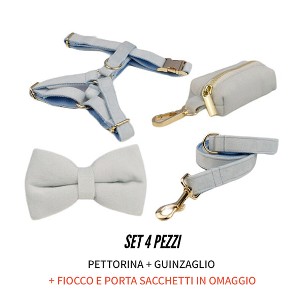 PERSONALIZZABILE - SET PETTORINA PER CANI IN VELLUTO BLU GHIACCIO