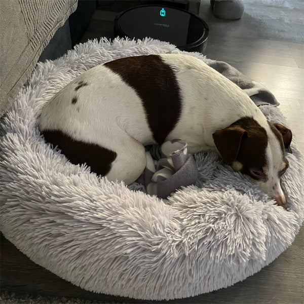 CUCCIA PER CANI ROTONDA PELOSA