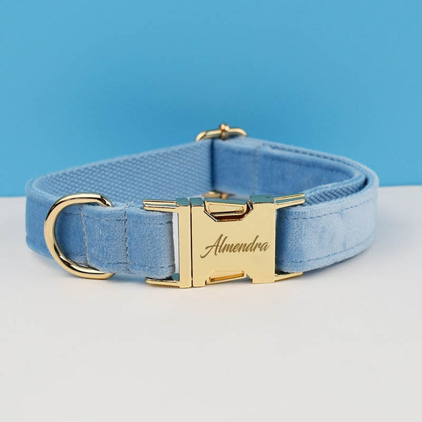 PERSONALIZZABILE - SET PETTORINA PER CANI IN VELLUTO CELESTE