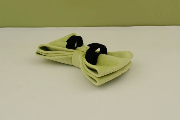 PERSONALIZZABILE - SET COLLARE PER CANI IN VELLUTO PISTACCHIO