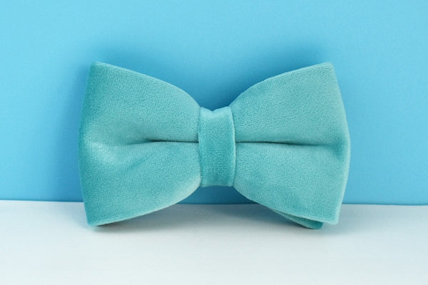 PERSONALIZZABILE - SET PETTORINA PER CANI IN VELLUTO AZZURRO