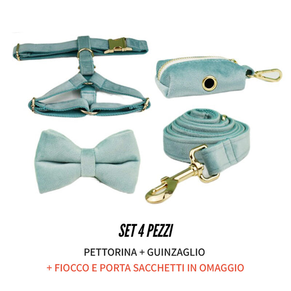 PERSONALIZZABILE - SET PETTORINA PER CANI IN VELLUTO MENTA