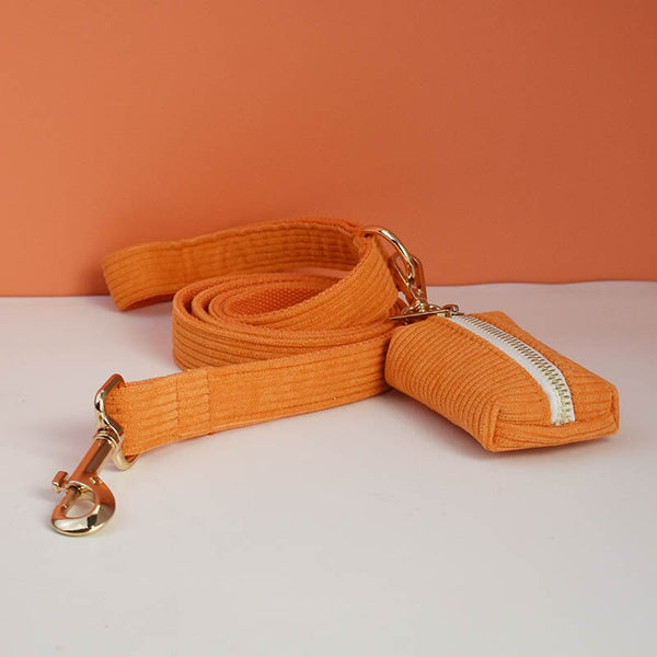 PERSONALIZZABILE - SET PETTORINA PER CANI IN VELLUTO ARANCIONE A COSTE