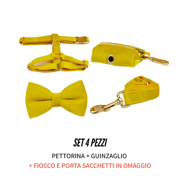 PERSONALIZZABILE - SET PETTORINA PER CANI IN VELLUTO GIALLO