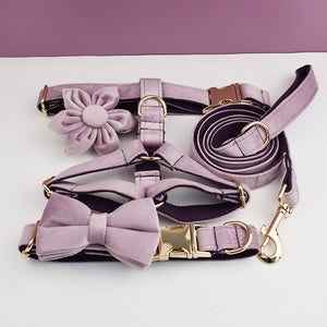 PERSONALIZZABILE - SET PETTORINA PER CANI IN VELLUTO GLICINE FONDO VIOLA