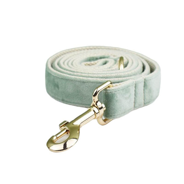 PERSONALIZZABILE - SET PETTORINA PER CANI IN VELLUTO SALVIA