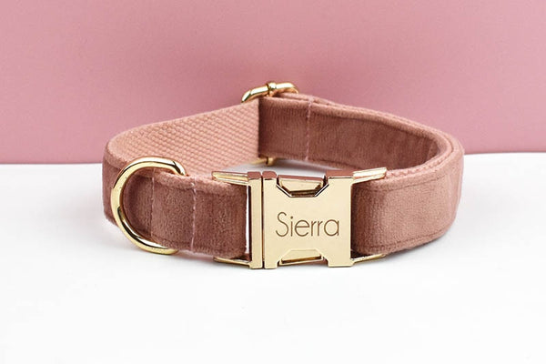 PERSONALIZZABILE - SET PETTORINA PER CANI IN VELLUTO NOCCIOLA