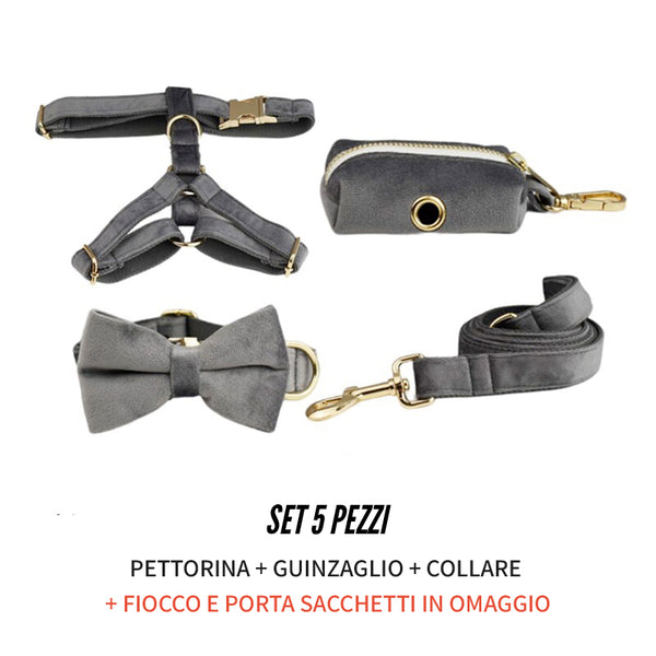 PERSONALIZZABILE - SET PETTORINA PER CANI IN VELLUTO GRIGIO SCURO