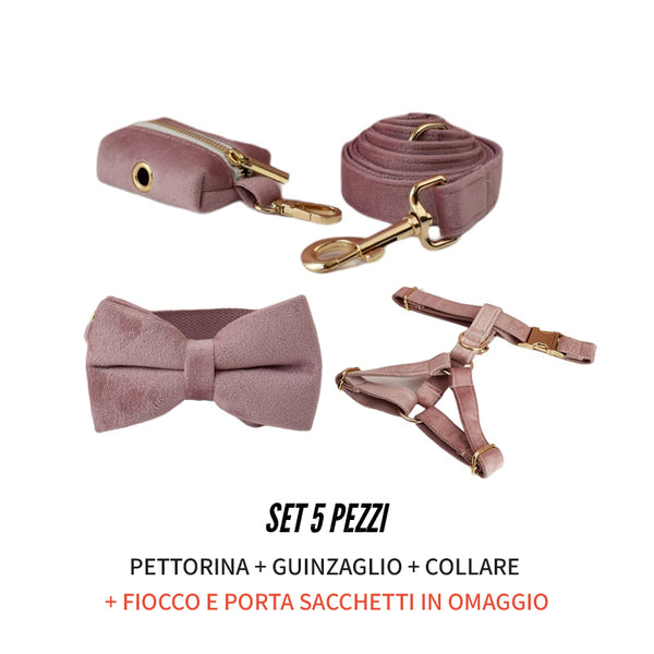 CUSTOMIZABLE - DOG HARNESS SET IN ANTIQUE PINK VELVET