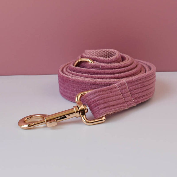 PERSONALIZZABILE - SET COLLARE PER CANI IN VELLUTO CAMELIA A COSTE