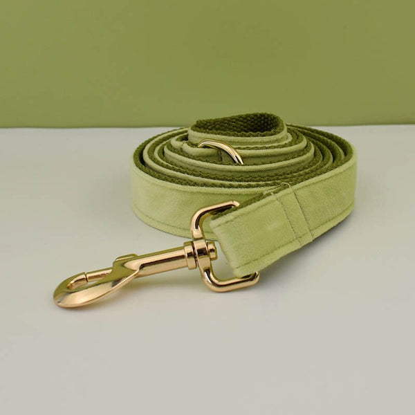 PERSONALIZZABILE - SET COLLARE PER CANI IN VELLUTO PISTACCHIO