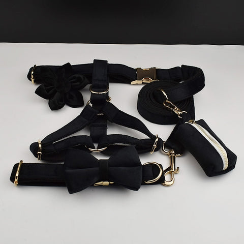 PERSONALIZZABILE - SET PETTORINA PER CANI IN VELLUTO NERO