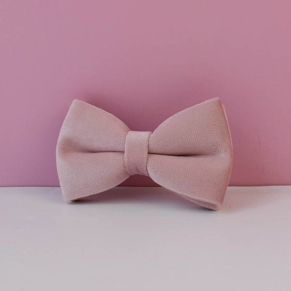 PERSONALIZZABILE - SET COLLARE PER CANI IN VELLUTO ROSA DALIA