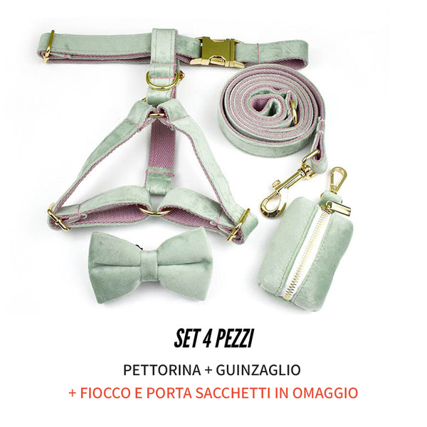 PERSONALIZZABILE - SET PETTORINA PER CANI IN VELLUTO MENTA FONDO ROSA