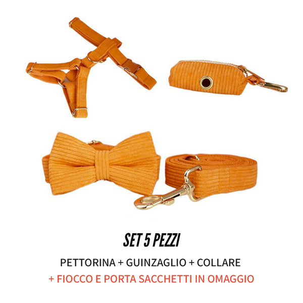 PERSONALIZZABILE - SET PETTORINA PER CANI IN VELLUTO ARANCIONE A COSTE