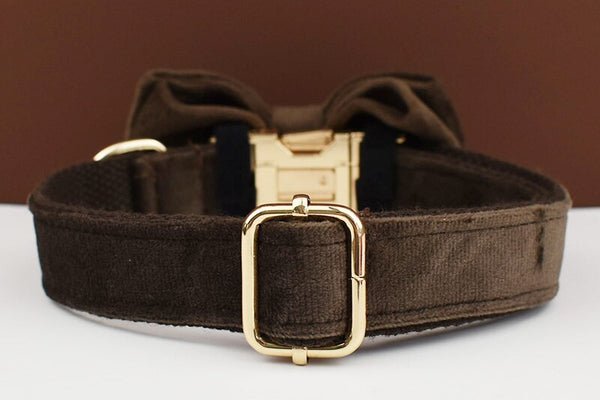 PERSONALIZZABILE - SET PETTORINA PER CANI IN VELLUTO CIOCCOLATO
