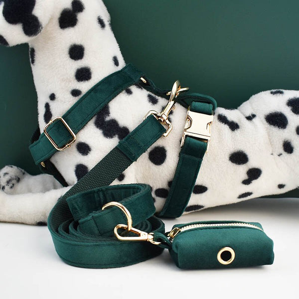 PERSONALIZZABILE - SET PETTORINA PER CANI IN VELLUTO VERDE SCURO