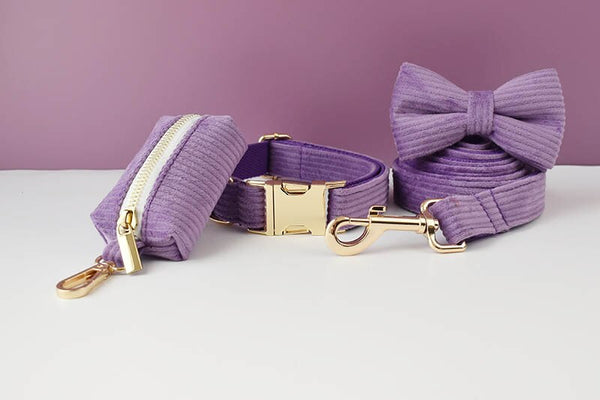 PERSONALIZZABILE - SET COLLARE PER CANI IN VELLUTO VIOLA A COSTE