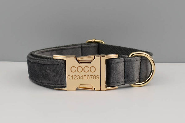 PERSONALIZZABILE - SET PETTORINA PER CANI IN VELLUTO GRIGIO SCURO